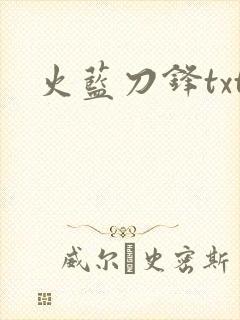 火蓝刀锋txt