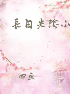 长日光阴小说