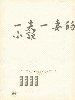 一夫一妻的玄幻小说