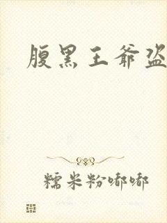 腹黑王爷盗墓妃