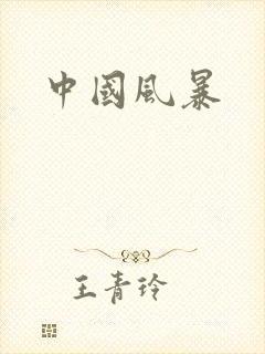 中国风暴