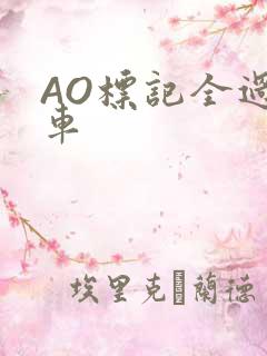 AO标记全过程车