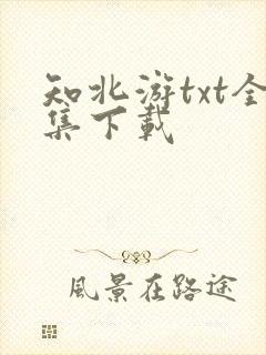 知北游txt全集下载