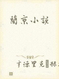 兰京小说