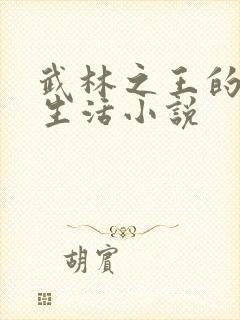 武林之王的退隐生活小说