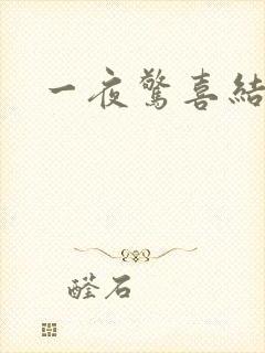 一夜惊喜结局