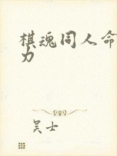 棋魂同人命运之力