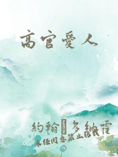 高官爱人