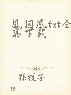 凤囚凰txt全集下载