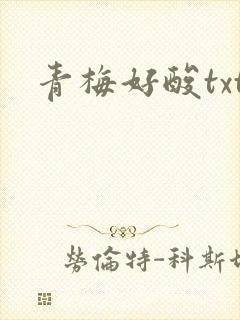 青梅好酸txt