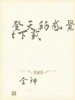 登天的感觉txt下载