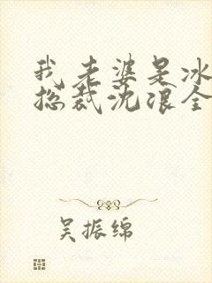 我老婆是冰山女总裁沈浪全集