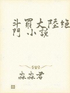 斗罗大陆绝世唐门 小说