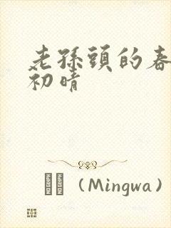 老孙头的春天林初晴