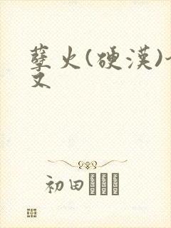 孽火(硬汉)今又