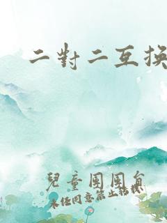 二对二互换共享