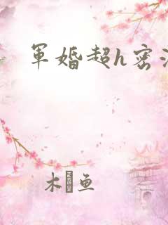 军婚超h密液