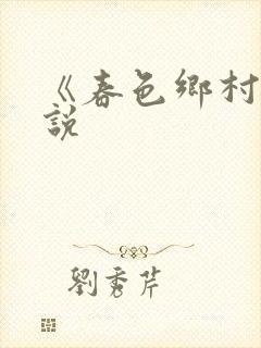 《春色乡村》小说