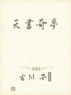 天书奇梦