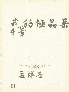 我的极品岳坶34章