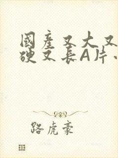 国产又大又粗又硬又长A片小说