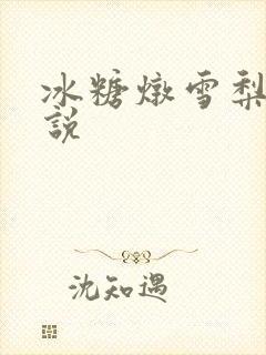 冰糖炖雪梨 小说