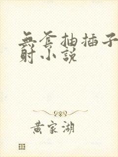 无套抽插子宫内射小说