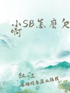 小SB怎么欠C啊