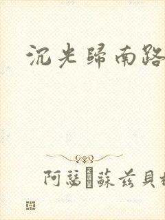 沉光归南路