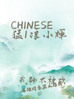 CHINESE猛1浪小辉