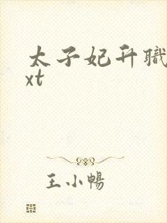 太子妃升职记txt