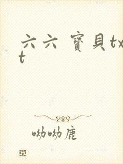 六六 宝贝txt