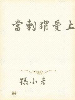 当刺猬爱上玫瑰