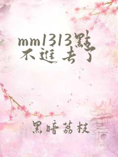 mm1313点不进去了