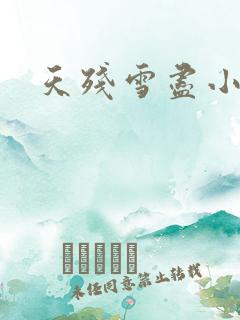 天残雪尽小说
