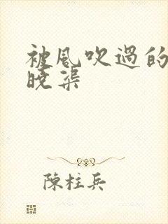 被风吹过的夏天晓渠