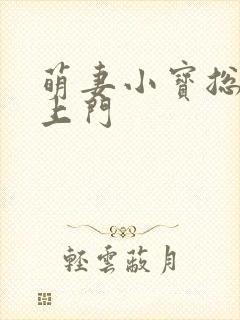 萌妻小宝总裁找上门