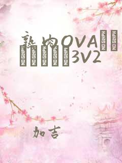 熟肉OVAちゃんはしたい3V2
