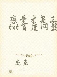 恋爱才是正经事txt百度网盘