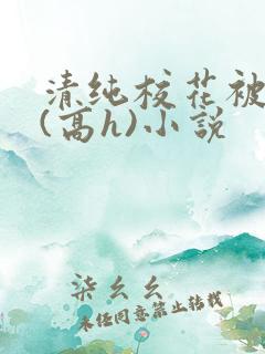 清纯校花被调教(高h)小说