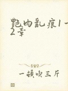 艳肉乱痕1一12章
