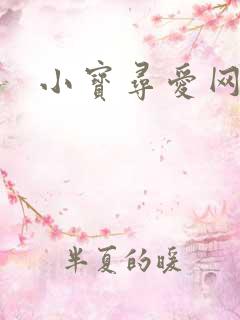 小宝寻爱网址