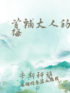 首辅大人的小青梅