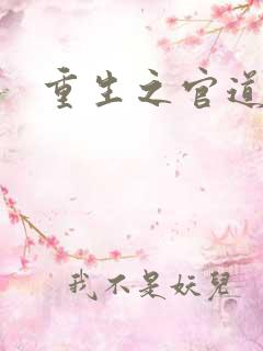 重生之官道吧