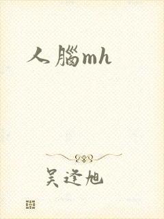 人脑mh
