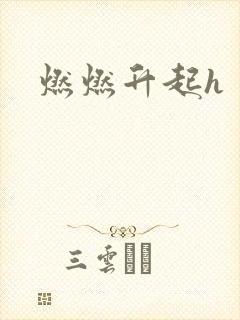 燃燃升起h