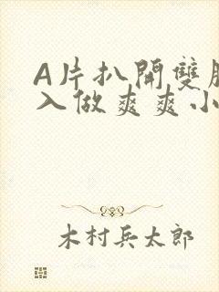 A片扒开双腿进入做爽爽小说