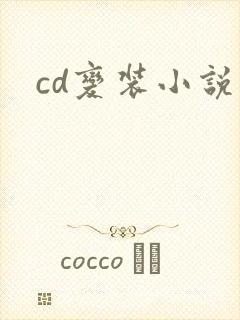 cd变装小说