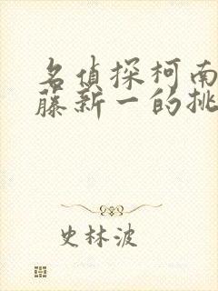 名侦探柯南给工藤新一的挑战书