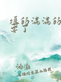 填的满满的 不要了